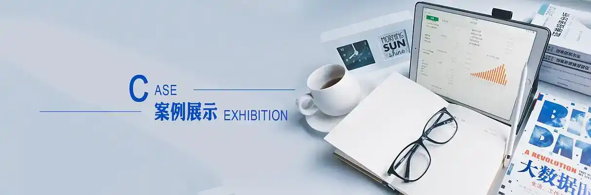 临澧县软件开发